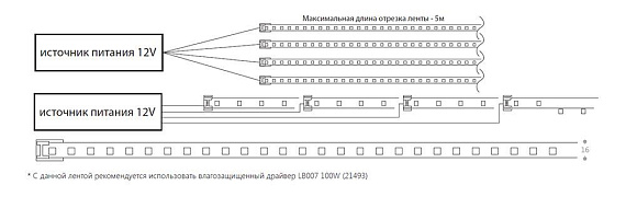 Лента светодиодная неоновая 180SMD(2835)/m 14,4W/m 12V 5m IP68 6500К, LS651 с 2 заглушками, 2 заглушками c проводом, 10 креплениями в комплекте от магазина Диал Электро