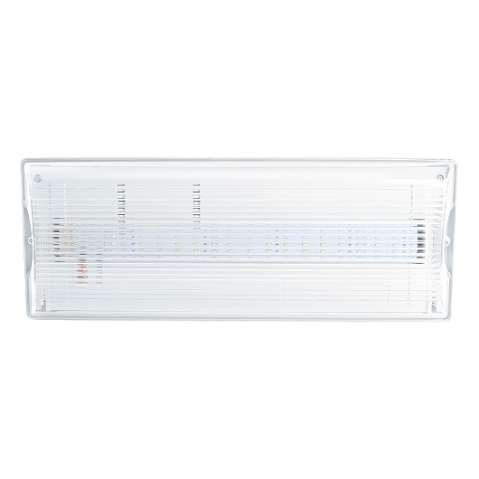 Светильник аварийный, 20 LED AC/DC, белый, EM100 артикул 41535 от магазина Диал Электро